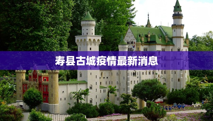 寿县古城疫情最新消息