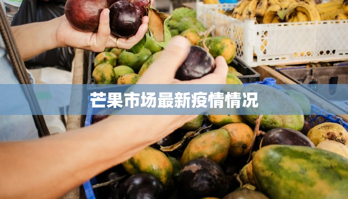 芒果市场最新疫情情况