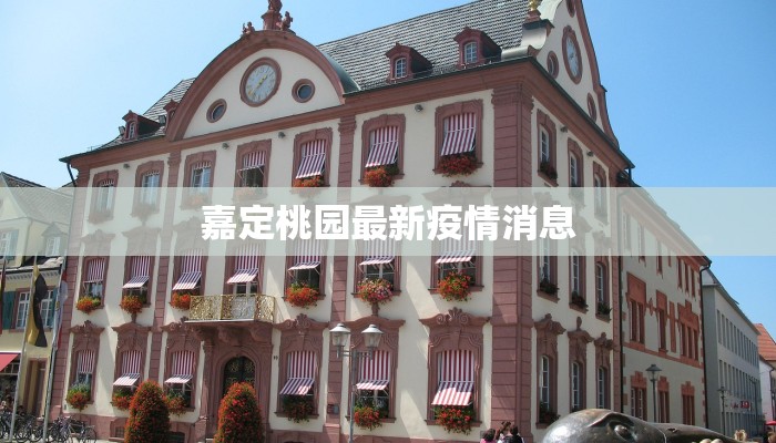 嘉定桃园最新疫情消息