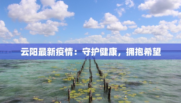 作文北京疫情最新情况