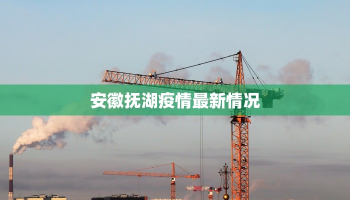 安徽抚湖疫情最新情况