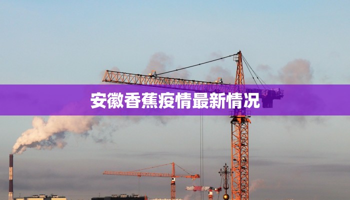 胶州疫情最新章：守护健康新征程