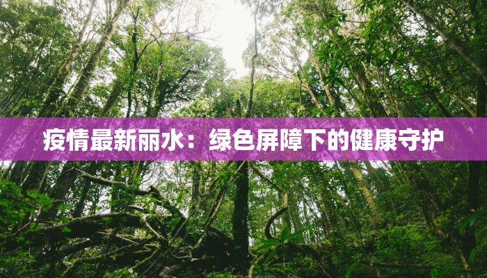疫情最新丽水：绿色屏障下的健康守护