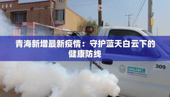 可人儿社区团购：邻里间的新鲜惊喜，品质生活触手可及