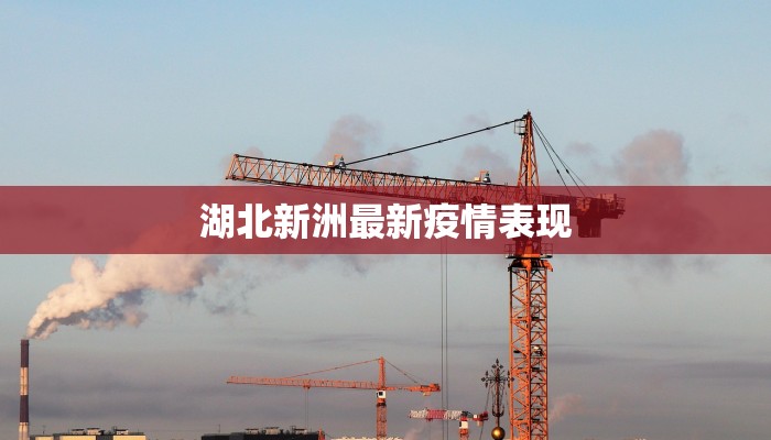 湖北新洲最新疫情表现