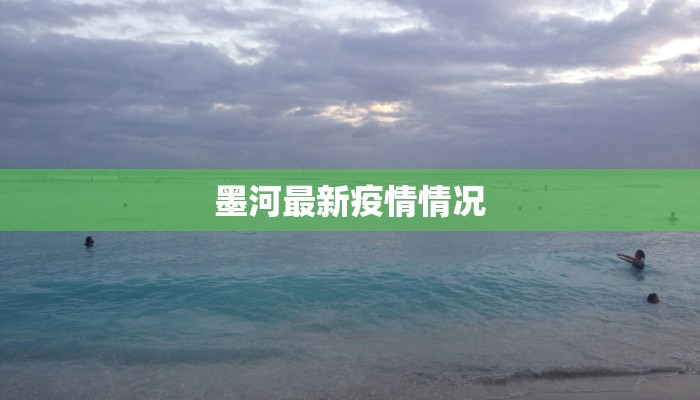 最新疫情简短描述