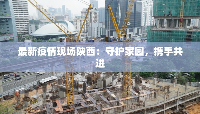 最新疫情现场陕西：守护家园，携手共进