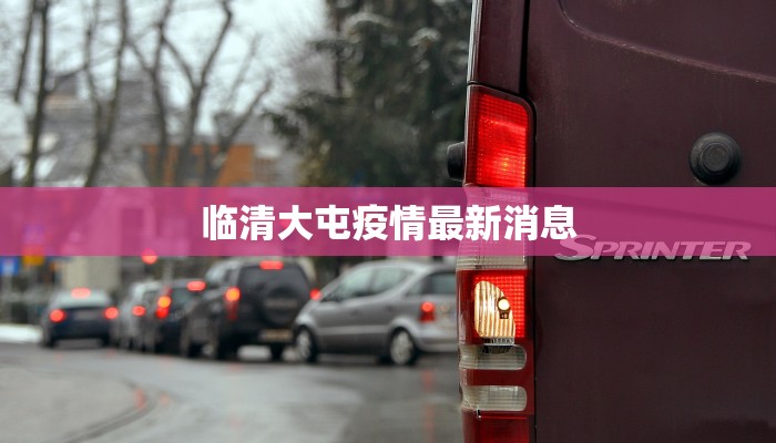 临清大屯疫情最新消息