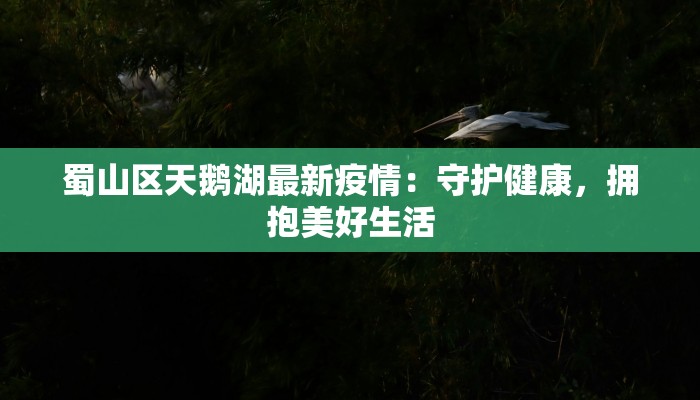 蜀山区天鹅湖最新疫情：守护健康，拥抱美好生活