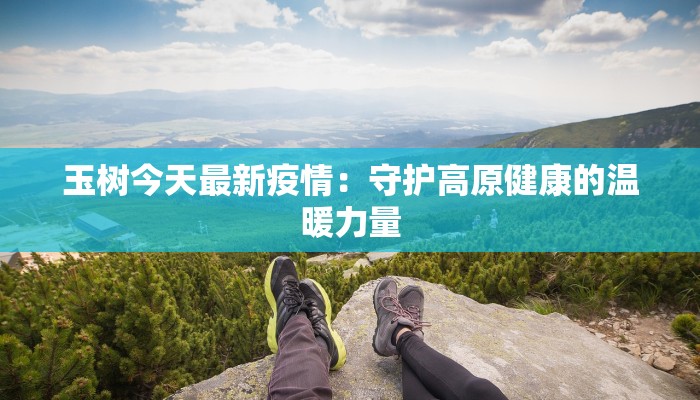 北京雅阁团购：城市精英的专属出行之选