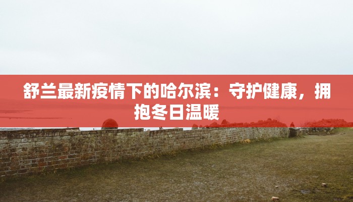 舒兰最新疫情下的哈尔滨：守护健康，拥抱冬日温暖