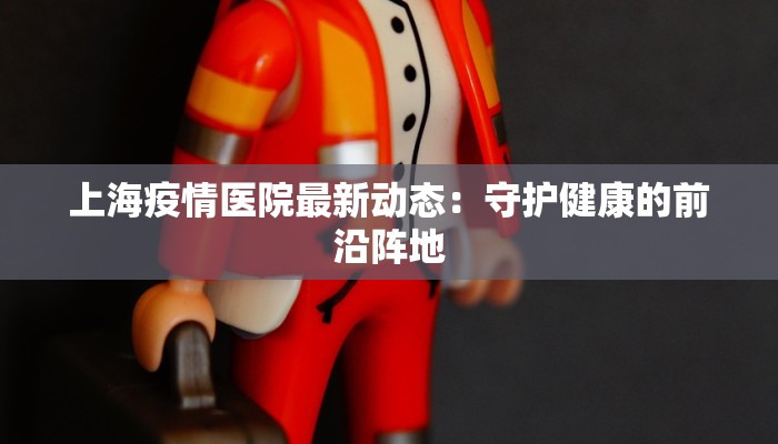 上海疫情医院最新动态：守护健康的前沿阵地
