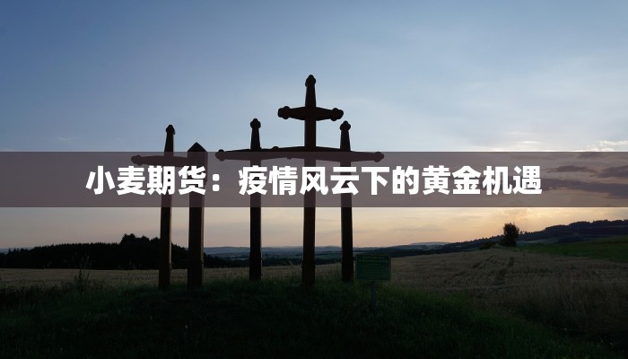 小麦期货：疫情风云下的黄金机遇