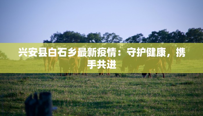兴安县白石乡最新疫情：守护健康，携手共进