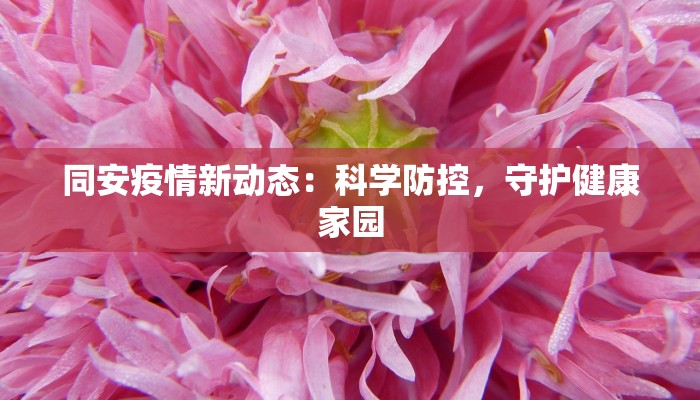 同安疫情新动态：科学防控，守护健康家园