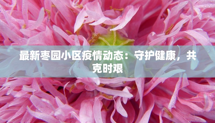 最新枣园小区疫情动态：守护健康，共克时艰