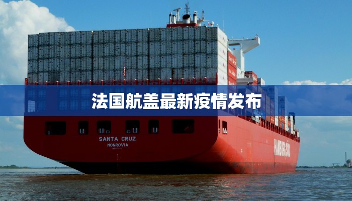 法国航盖最新疫情发布