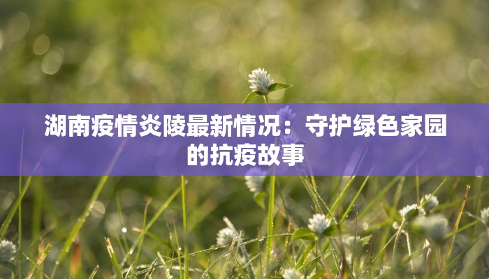 湖南疫情炎陵最新情况：守护绿色家园的抗疫故事