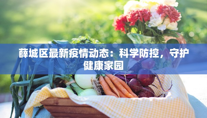 薛城区最新疫情动态：科学防控，守护健康家园
