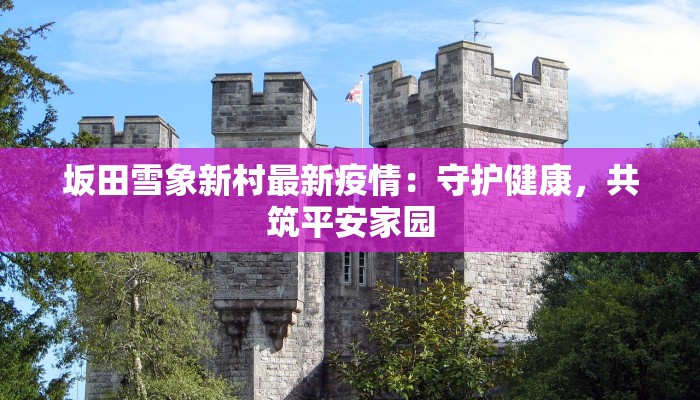 坂田雪象新村最新疫情：守护健康，共筑平安家园