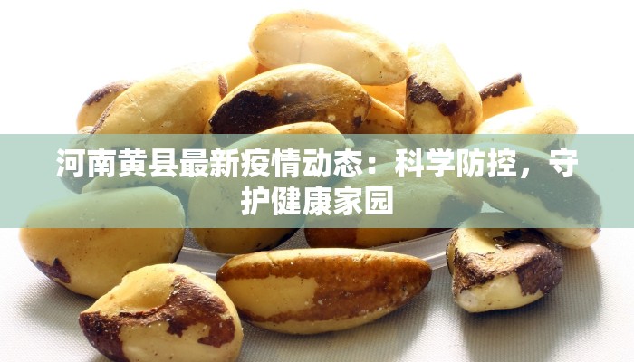河南黄县最新疫情动态：科学防控，守护健康家园