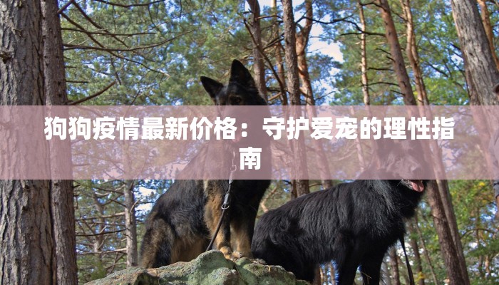 狗狗疫情最新价格：守护爱宠的理性指南