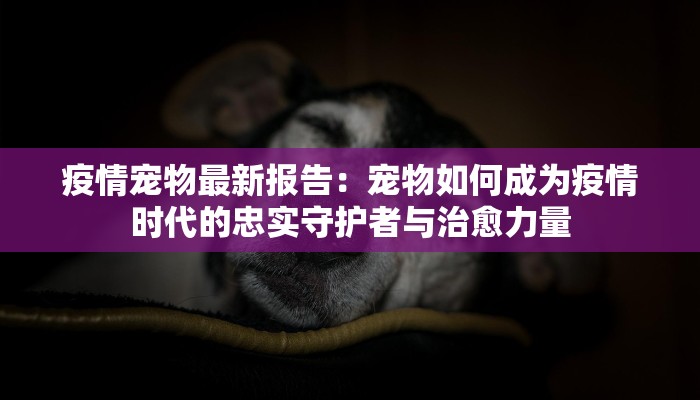 疫情宠物最新报告：宠物如何成为疫情时代的忠实守护者与治愈力量