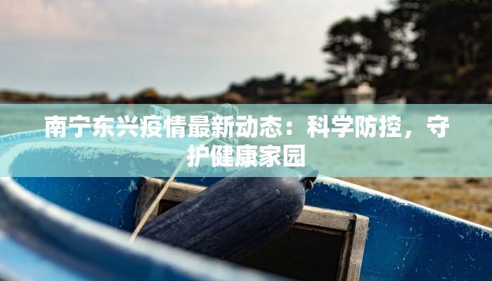 荷兰南非最新疫情：跨洋联防，健康守护新纪元