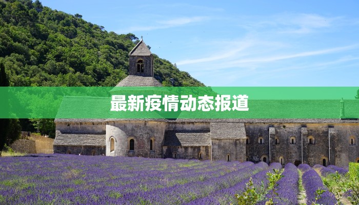 最新疫情动态报道