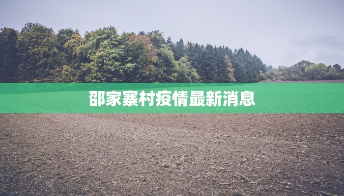 邵家寨村疫情最新消息