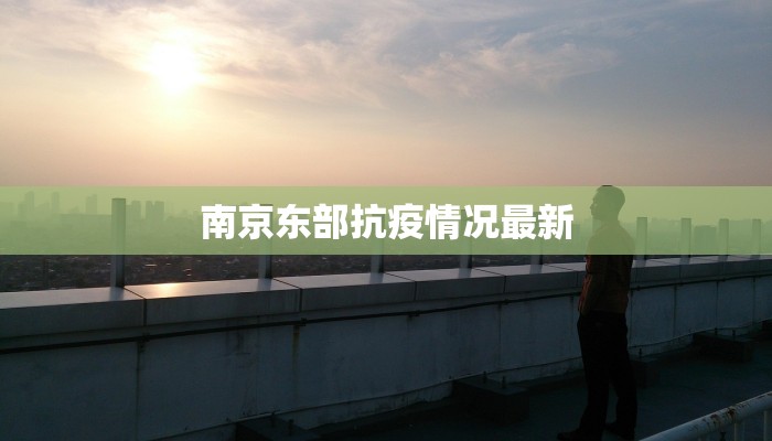 南京东部抗疫情况最新