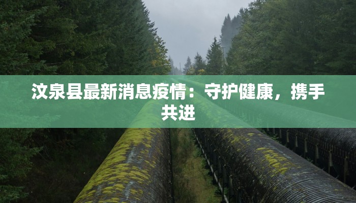 汶泉县最新消息疫情：守护健康，携手共进