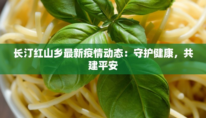 长汀红山乡最新疫情动态：守护健康，共建平安