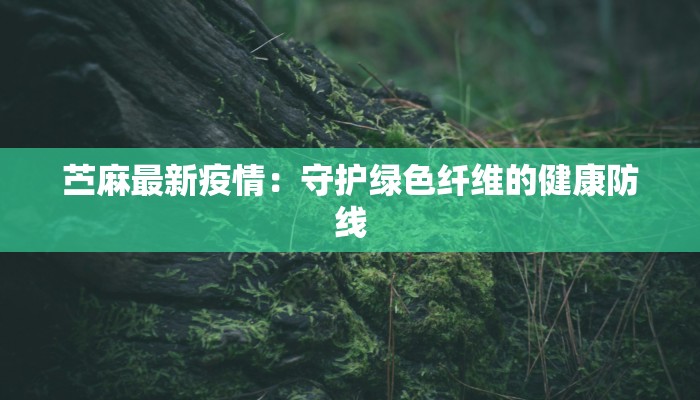 瑞安新坊最新消息疫情：安心回归，活力重启