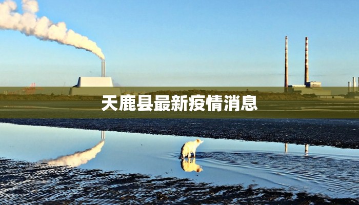 印度疫情最新实际情况：从挑战到希望的回响