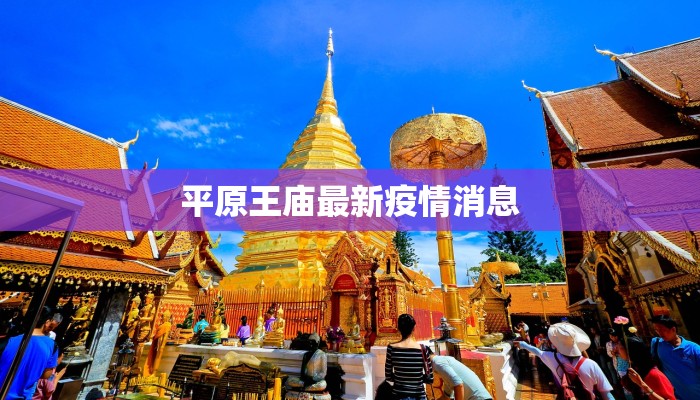 平原王庙最新疫情消息