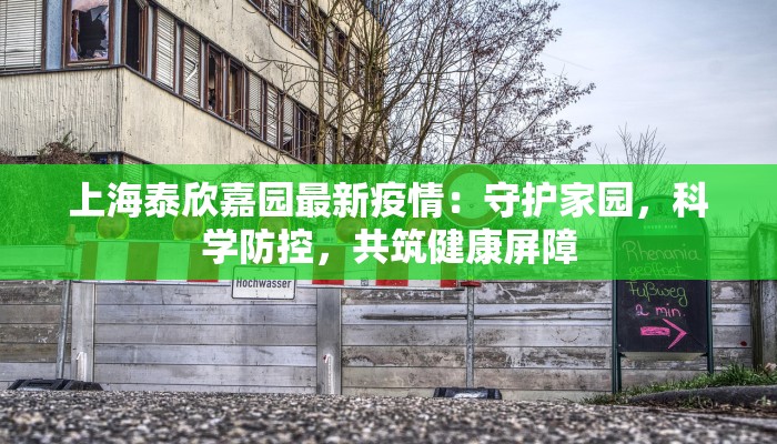 上海泰欣嘉园最新疫情：守护家园，科学防控，共筑健康屏障