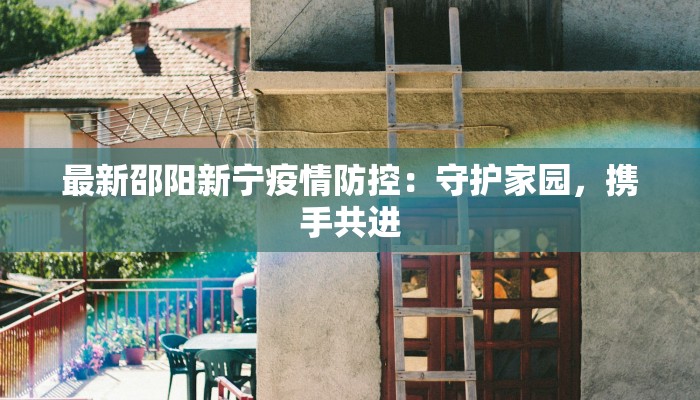 最新邵阳新宁疫情防控：守护家园，携手共进
