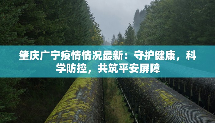 肇庆广宁疫情情况最新：守护健康，科学防控，共筑平安屏障
