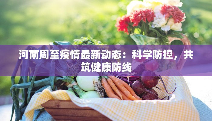 河南周至疫情最新动态：科学防控，共筑健康防线