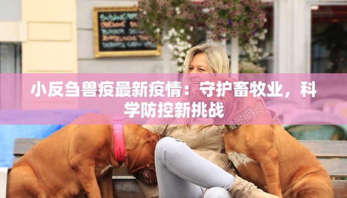 小龙虾团购平江店：夏日鲜香，一口麻辣过瘾！