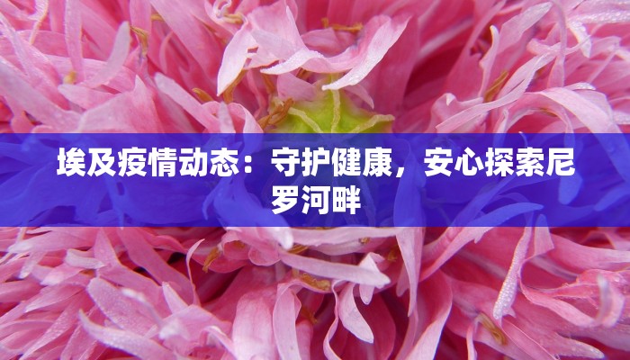 清远最新疫情最新通报