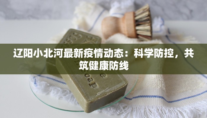辽阳小北河最新疫情动态：科学防控，共筑健康防线