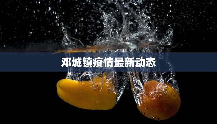 邓城镇疫情最新动态