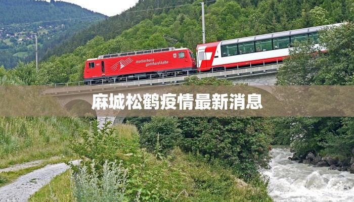 麻城松鹤疫情最新消息