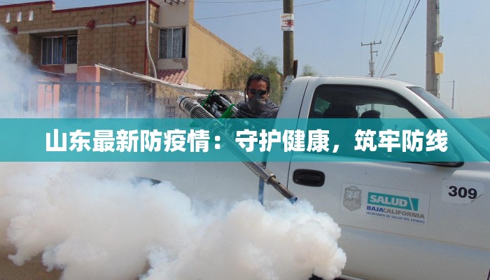 山东最新防疫情：守护健康，筑牢防线