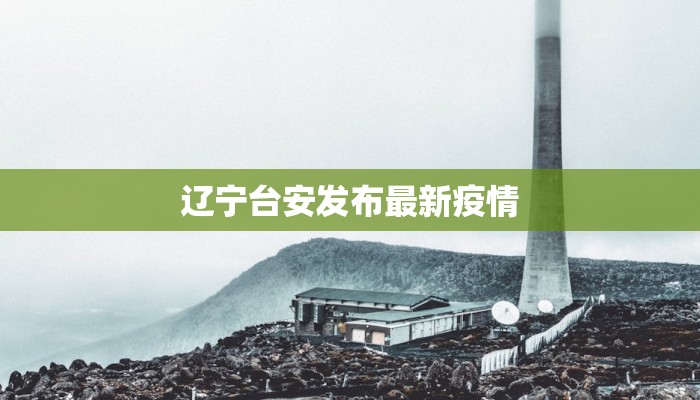 辽宁台安发布最新疫情