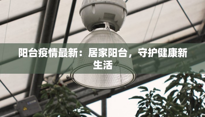 阳台疫情最新：居家阳台，守护健康新生活