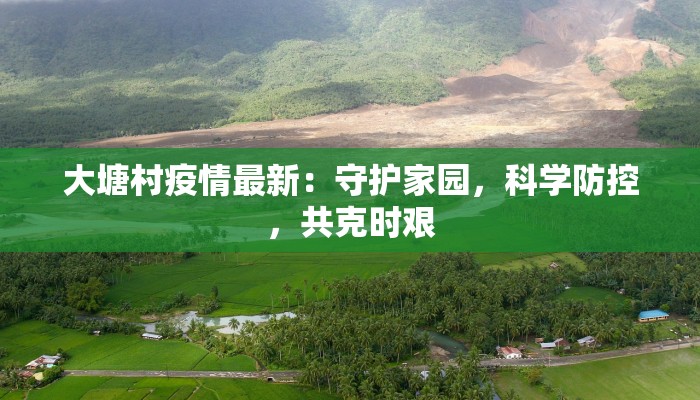 大塘村疫情最新：守护家园，科学防控，共克时艰