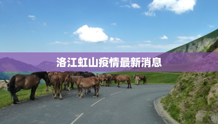 洛江虹山疫情最新消息